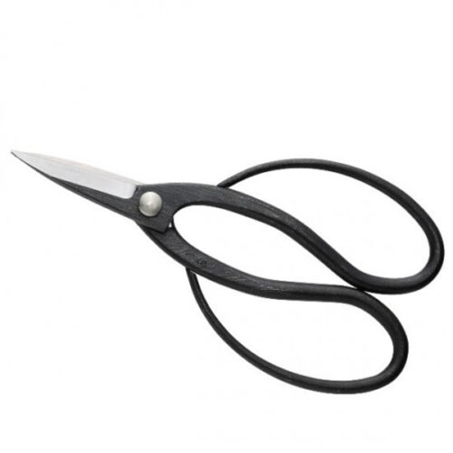 Professional bonsai scissors aogami