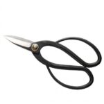 Bonsai scissors medium size