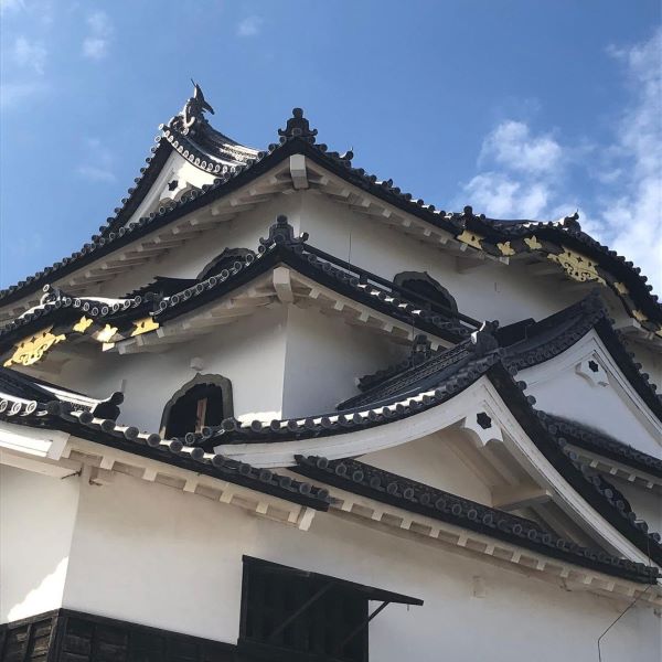 Hikone Castle 1